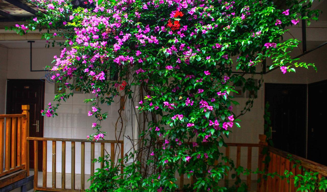 Dali Lao Shay Youth Hostel المظهر الخارجي الصورة